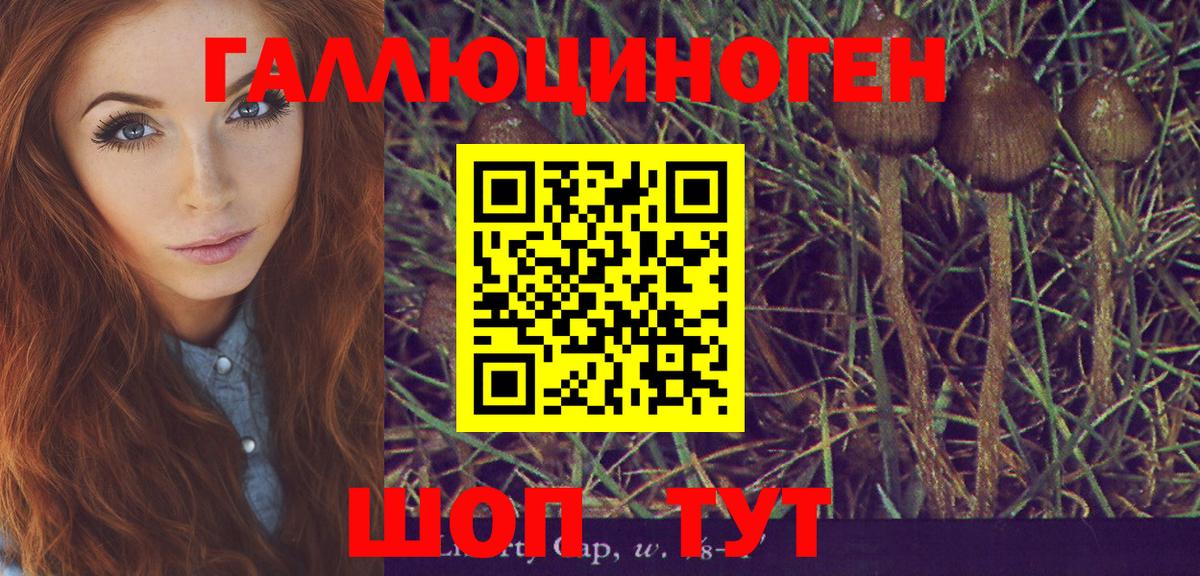 Галлюциногенные грибы MAGIC MUSHROOMS  Вход с VPN  Боровичи  Галлюциногенные грибы ЛСД 
